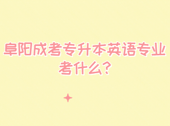 阜陽(yáng)成考專(zhuān)升本英語(yǔ)專(zhuān)業(yè)考什么